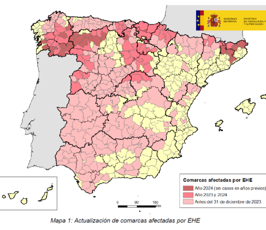 Enfermedad hemorrágica epizoótica (EHE): actualización de focos en bovino