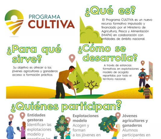 Abierto hasta el 5 de septiembre el plazo de solicitudes de estancias formativas del programa Cultiva 2024