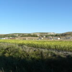 Necesaria convivencia entre campo y ganadería