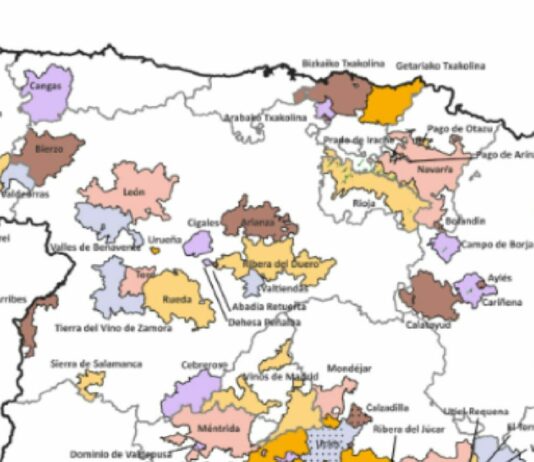 Los pueblos con viñedo mantienen cerca de un 53% más de población