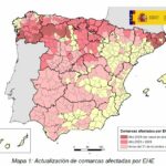 Enfermedad hemorrágica epizoótica (EHE): actualización de focos en bovino