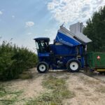 Importante aumento de superficie de los frutos secos en Castilla y León