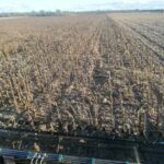 giraso miguel astudillo