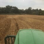 luis alberto tareas agrícolas