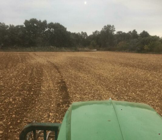 El cambio de criterio en el reparto de derechos de la Reserva Nacional relega a la agricultura de Castilla y León