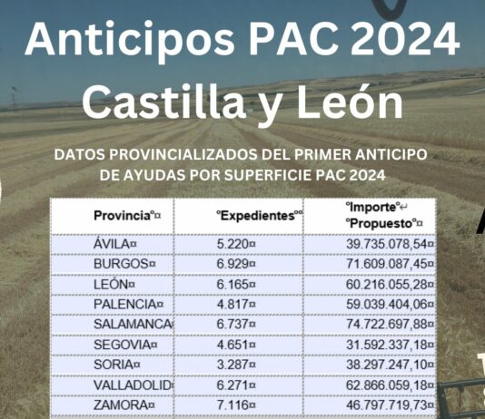 La Junta ingresa desde hoy el abono del anticipo PAC 2024
