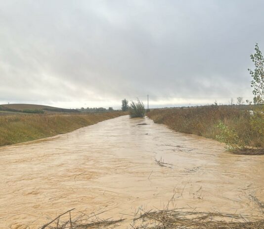 La lluvia incesante retrasa las labores del campo de Castilla y León