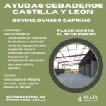 Ayudas para la construcción, ampliación, adaptación de cebaderos o centros de recría de razas puras