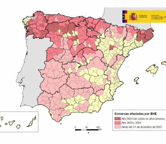 La Junta aprueba ayudas directas para las 957 explotaciones ganaderas con casos confirmados de EHE en 2024
