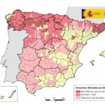 Enfermedad hemorrágica epizoótica (EHE): actualización de focos en bovino en España y Castilla y León