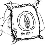 La evolución de los forrajes