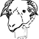 El mercado de la leche de ovino