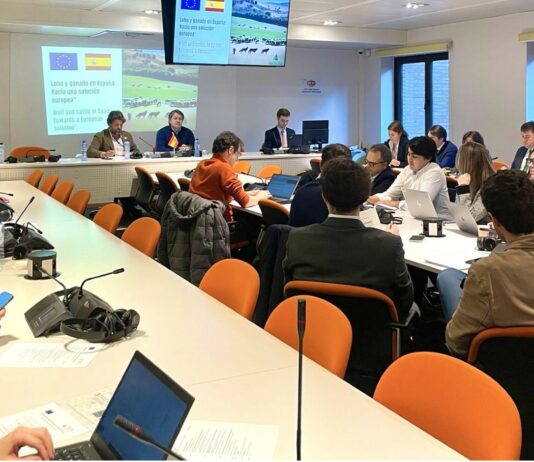 ASAJA celebra la aprobación del cambio de estatus de protección del lobo en el Convenio de Berna