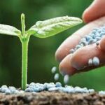 Aplazada un año más la entrada en vigor del plan de abonado y del asesoramiento técnico en fertilización