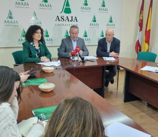 ASAJA apunta a la falta de rentabilidad como el freno principal del potencial de crecimiento del sector agroganadero de Castilla y León