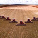 El sector agrario de la UE será menos competitivo en 2025