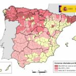 Enfermedad hemorrágica epizoótica (EHE): actualización de focos en bovino en España y Castilla y León