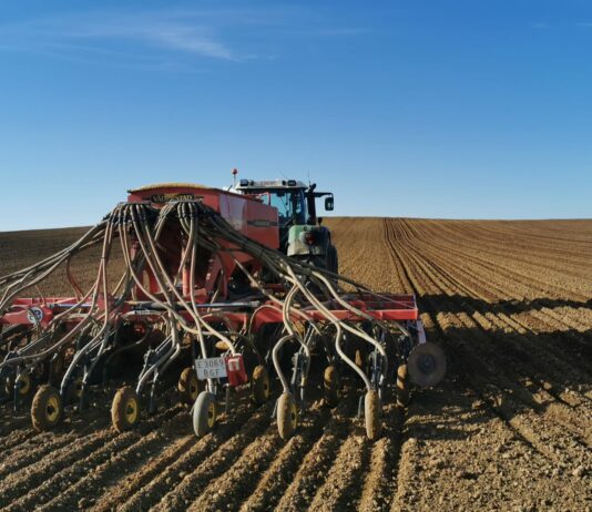 ASAJA defiende el potencial de las legumbres en Castilla y León y reclama precios que valoren la calidad autóctona frente a las importaciones