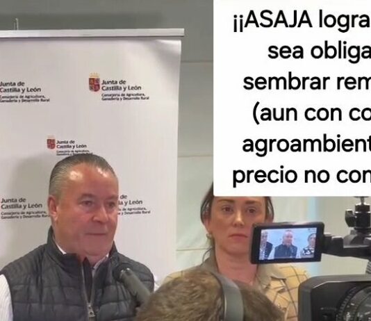La Consejería acepta la petición de ASAJA y los agricultores no estarán obligados a sembrar remolacha si el precio no compensa