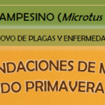 Topillo campesino: recomendaciones preventivas para el periodo primaveral