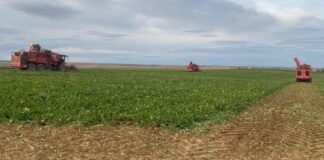 ASAJA pide amparo al presidente de la Junta para proteger a los remolacheros frente al nuevo golpe de Azucarera para frenar el cultivo