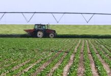 La Junta atiende la petición de ASAJA y acepta cambios en la ayuda agroambiental de la remolacha