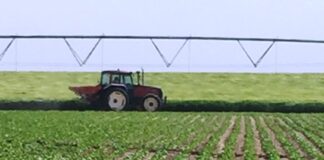 La Junta atiende la petición de ASAJA y acepta cambios en la ayuda agroambiental de la remolacha