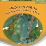 Aviso para los agricultores: mildiu en viñedo
