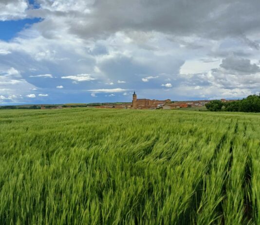 El campo pide a San Isidro que “eche el freno” unos días a la lluvia para completar las siembras de primavera