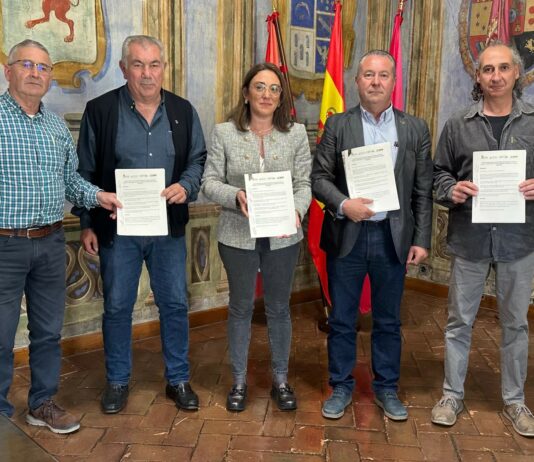 Posición conjunta del campo de Castilla y León en defensa de una PAC fuerte y bien financiada que apueste por la agricultura profesional