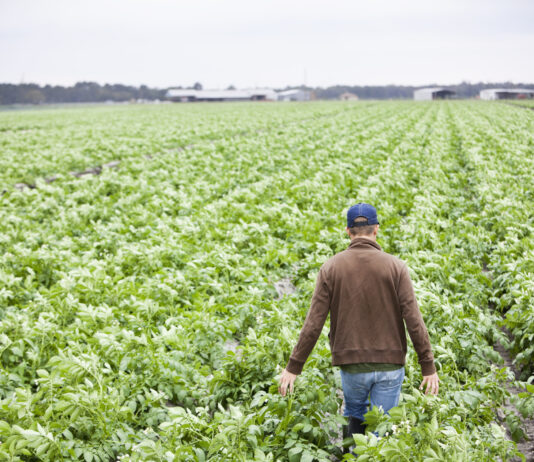 ASAJA alerta del impacto de una reducción de jornada pensada desde la ciudad