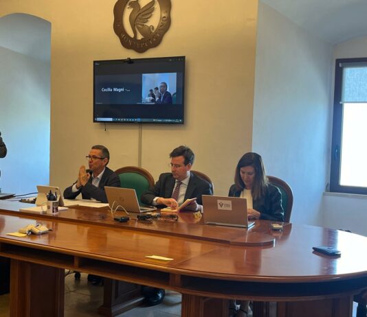 Las principales asociaciones vitivinícolas nacionales y europeas lanzan un llamamiento para garantizar el futuro del sector