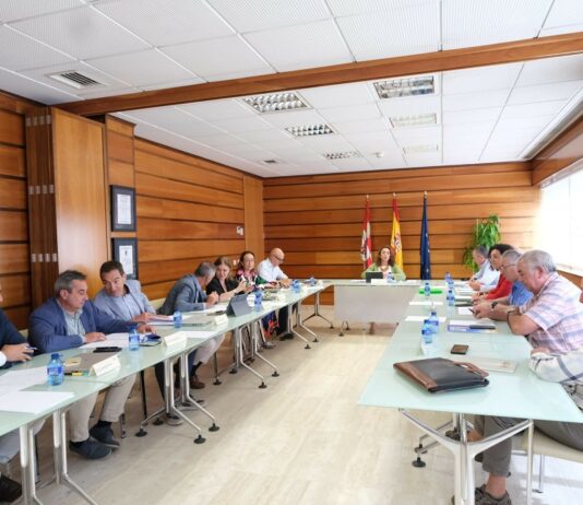 Dujo: “La nueva PAC supondrá menos dinero y peor repartido para los agricultores y ganaderos de Castilla y León”