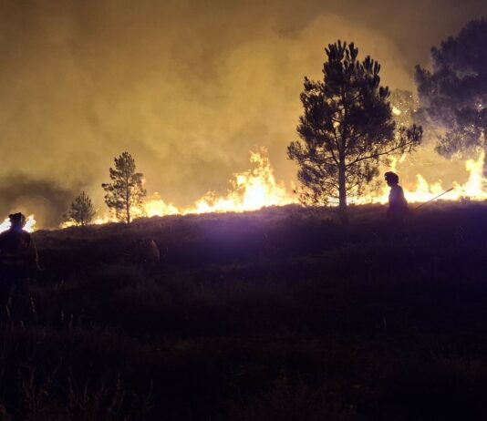 ASAJA valora el plan de apoyo anunciado por Mañueco y pide ayudas directas a ganaderos y agricultores afectados por los incendios