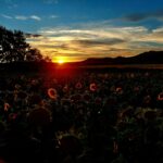 Primer premio: Jimena Mediavilla Alonso