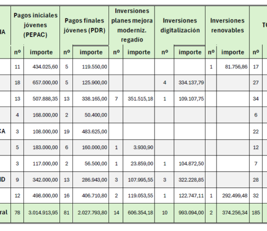 Por fin llegan las ayudas a la incorporación de jóvenes pendientes desde hace un año