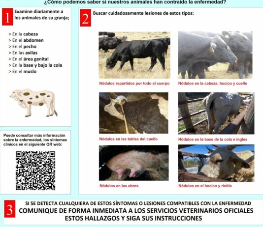 Castilla y León suspende desde el sábado las ferias y mercados de ganado como prevención ante la Dermatosis Nodular Contagiosa