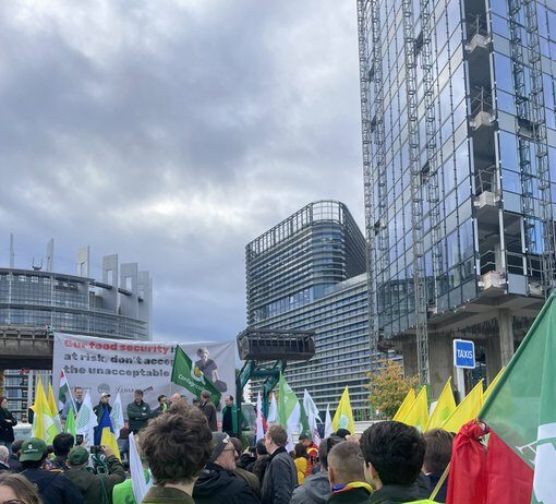 ASAJA se suma a la concentración del 19 de mayo en Estrasburgo y exige a la CE un plan de fertilizantes a la altura de la crisis