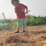 Accésit: Miguel Fernanz, de 13 años, de Fuentepelayo, Segovia