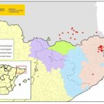 Actualización de la situación epidemiológica de la dermatosis nodular contagiosa (20/11/2025)