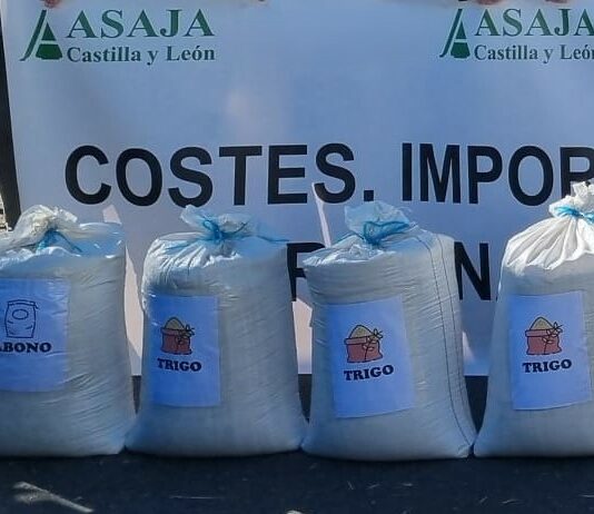 ASAJA denuncia la cruda realidad: el agricultor cerealista solo gana la PAC, según un informe de la Universidad de Valladolid encargado por la Junta de Castilla y León