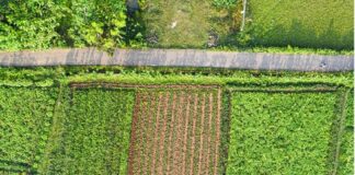 Aprobado el 47º Plan de Seguros Agrarios Combinados