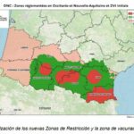 Actualización de la situación de la DNC en bovino: siguen apareciendo focos en Francia