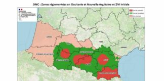 Actualización de la situación de la DNC en bovino: siguen apareciendo focos en Francia