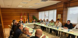 La Junta constituye el Comité Técnico de Expertos en Peste Porcina Africana para reforzar la prevención y coordinación frente a la enfermedad