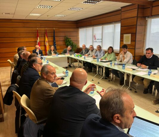 La Junta constituye el Comité Técnico de Expertos en Peste Porcina Africana para reforzar la prevención y coordinación frente a la enfermedad