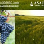 El 20 de diciembre termina el plazo para asegurar la campaña 2026 de cultivos herbáceos y viñedo