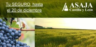 El 20 de diciembre termina el plazo para asegurar la campaña 2026 de cultivos herbáceos y viñedo