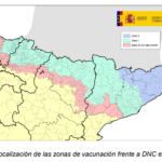 Castilla y León: prolongadas un mes más las medidas preventivas frente a la Dermatosis Nodular Contagiosa