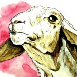 Cuaderno de dibujo de una pastora